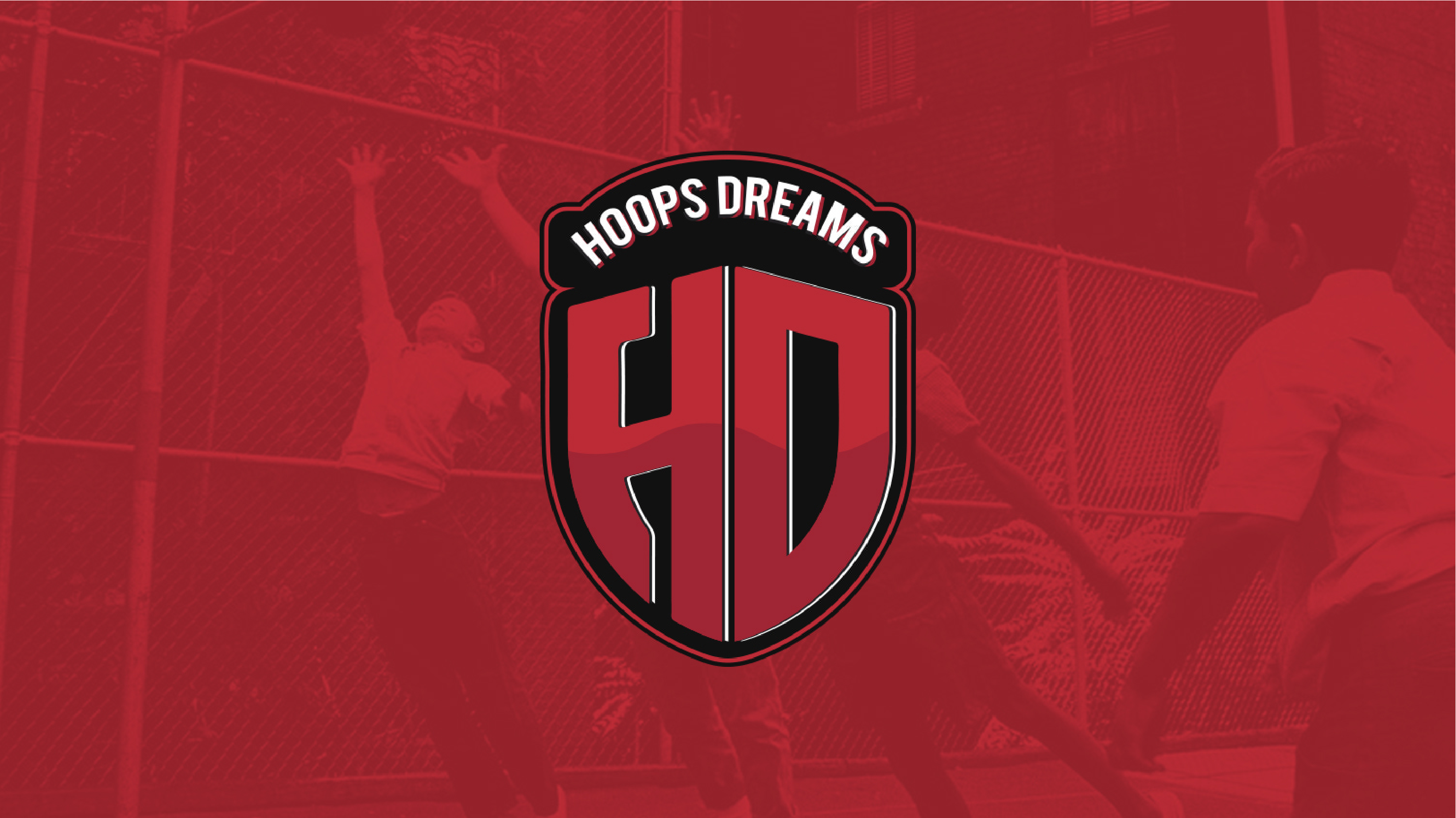 hoops demas